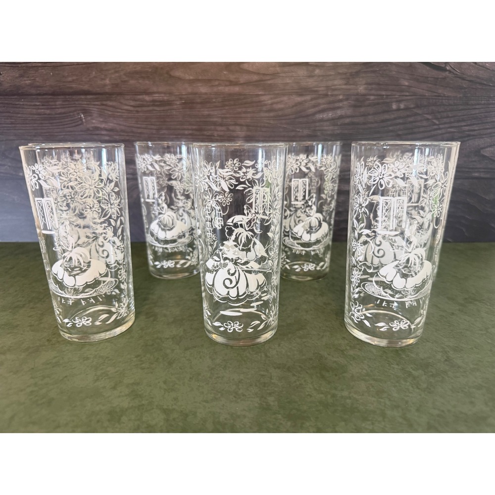 Vintage Southern Belle Drinking Glasses Set of 7 Floral Victorian Tumblers